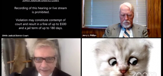 В США прокурор з’явився на онлайн-засідання в масці сумного кошеняти