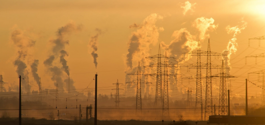 Суд у Гаазі змусив нафтову компанію Shell знизити кількість викидів в атмосферу