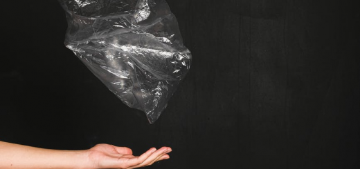 ВРУ заборонила пластикові пакети та ввела штрафи за їх розповсюдження