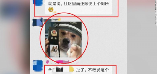 У Китаї затримали чоловіка за мем з собакою у поліцейській формі
