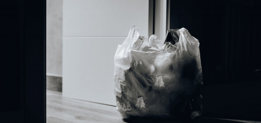 У Запоріжжі судили жінку, яка вийшла викинути сміття під час карантину без паспорта